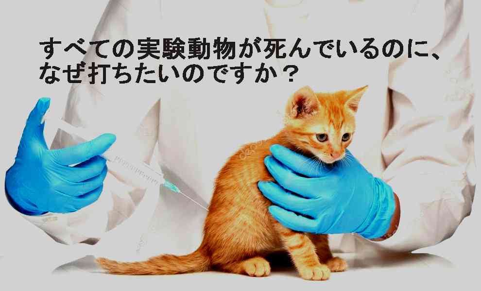 報告は氷山の一角！コロナワクチン接種後の副反応、死亡のツイートが多すぎて戦慄！⑮ | 泣いて生まれてきたけれど