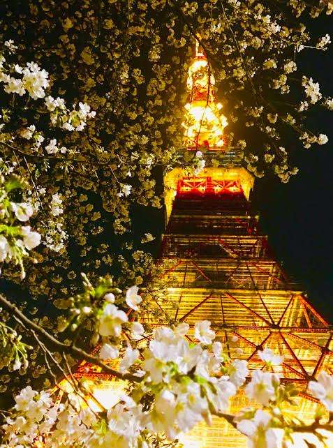 夜景の画像を観ながら夜を過ごすトピpart2