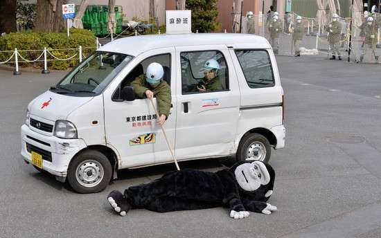 動物園の捕獲訓練がみたい🐻