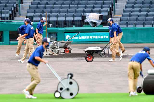 甲子園　圧巻の阪神園芸
