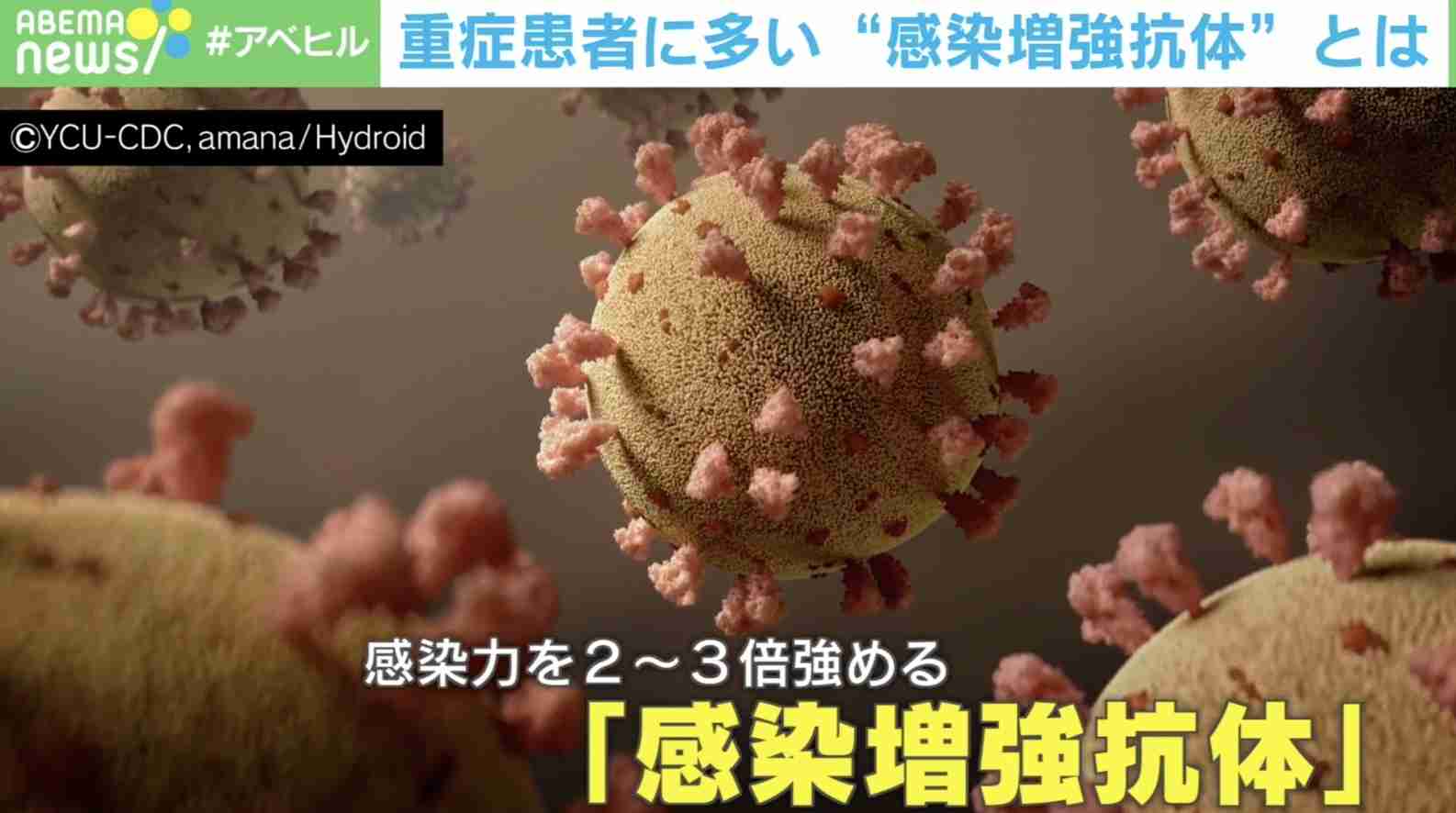 新型コロナ重症者に多い「感染増強抗体」を世界初発見  “重症化リスク”を事前に調べる手がかりに？（ABEMA TIMES） - Yahoo!ニュース