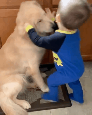 優しい動物たち