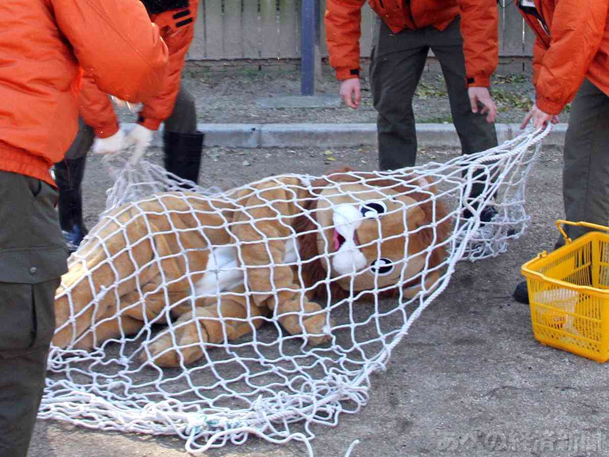 動物園の捕獲訓練がみたい🐻