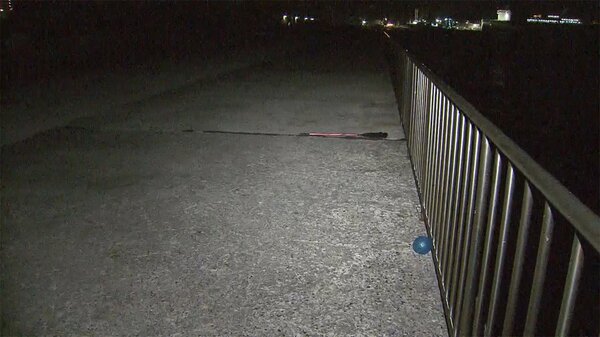 両親と海釣り中に転落　2歳女児が行方不明