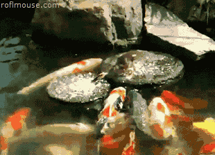 優しい動物たち