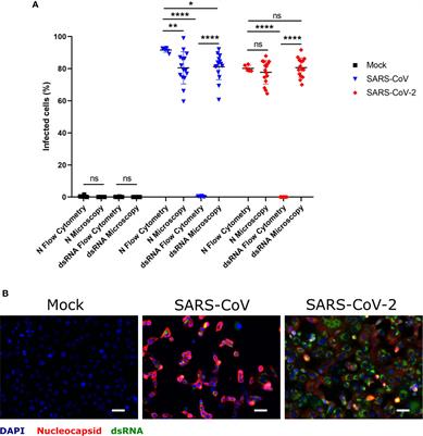 Frontiers | No Evidence for Human Monocyte-Derived Macrophage Infection and Antibody-Mediated Enhancement of SARS-CoV-2 Infection | Cellular and Infection Microbiology