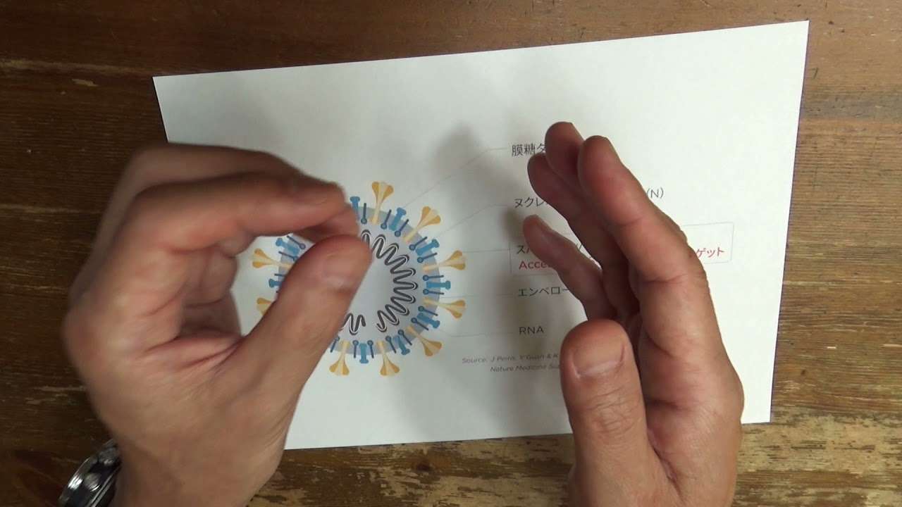 ビビんなくていいです - YouTube