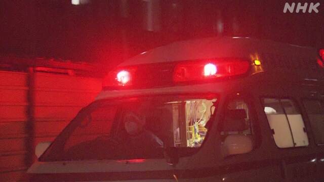 新型コロナ 自宅療養中の妊婦 搬送先なく早産で新生児死亡 | 新型コロナウイルス | NHKニュース