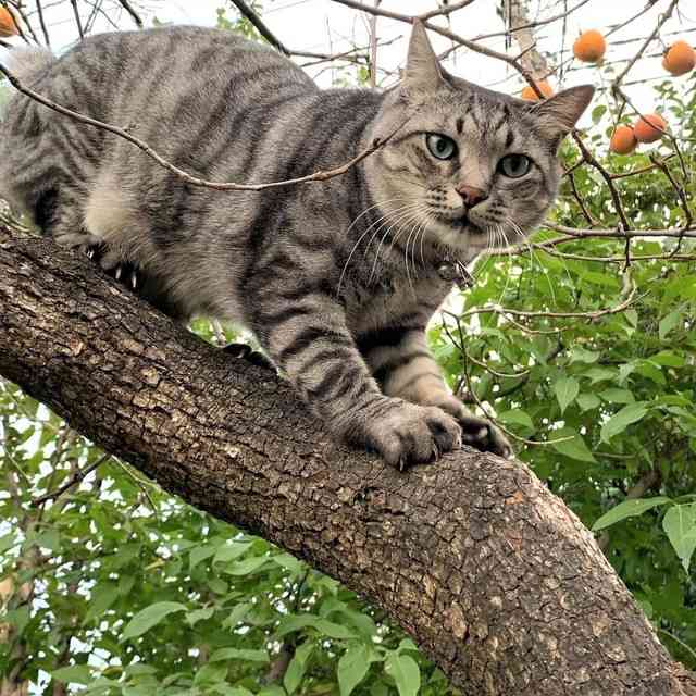 一人暮らしを始めるタイミング