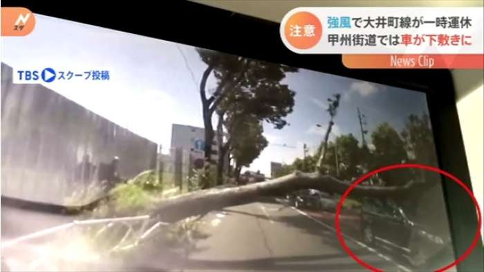 倒木の瞬間 調布で車２台下敷き、大井町線には「テント」飛来｜TBS NEWS