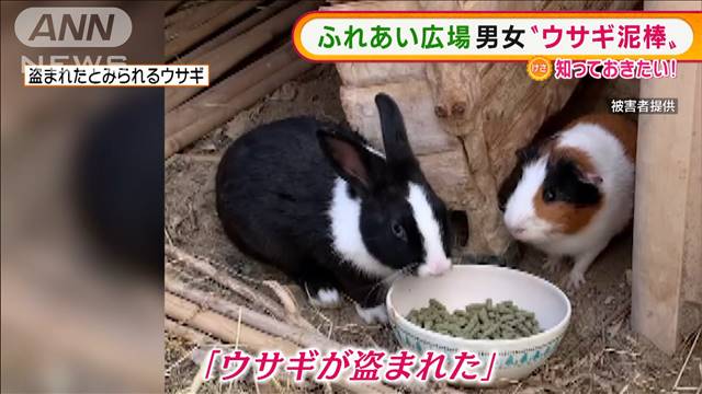 ふれあい広場で「ウサギ泥棒」の男女 被害に遭ったオーナー「顔に見覚え」 - ライブドアニュース