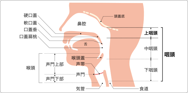 感染対策強化、何をしたらいい?