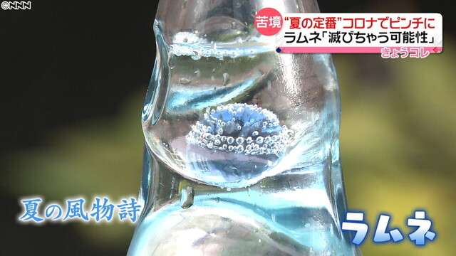 滅びる可能性も…“夏の定番”コロナ禍で（日本テレビ系（NNN）） - Yahoo!ニュース