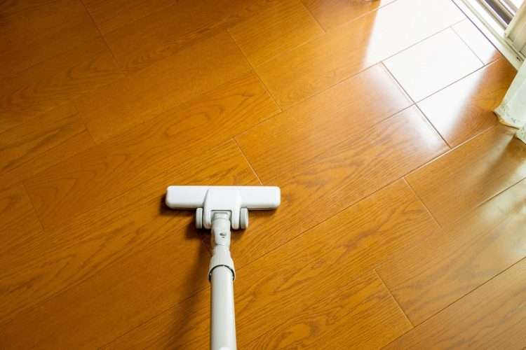 紙パック式に出戻りした人たちが感じた「サイクロン式掃除機」のデメリット｜NEWSポストセブン