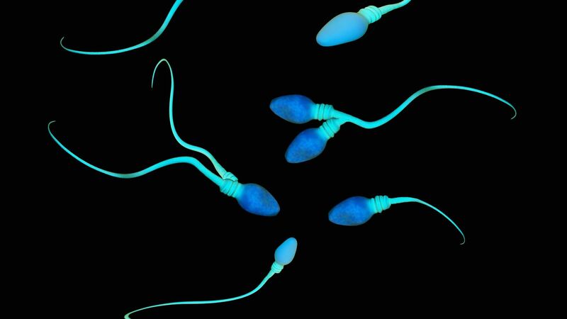 新型コロナは一過性の男性不妊の原因になるのか　回復後に精子が減少するという海外の報告（忽那賢志） - 個人 - Yahoo!ニュース