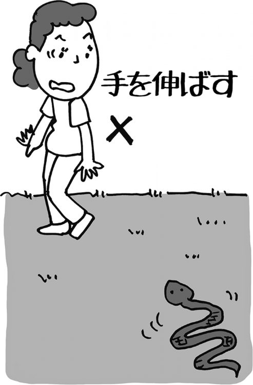ハチ、ヘビ、クマ…危険生物への対処法 ハチの大群には「一目散にどこまでも逃げる」