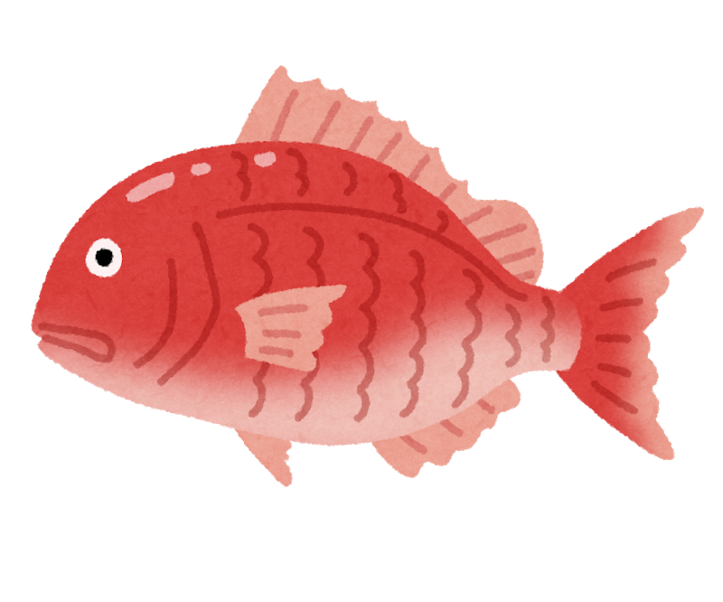 ゲノム編集で1・5倍肉厚にしたタイが流通へ…来月にも受理、魚では国内初