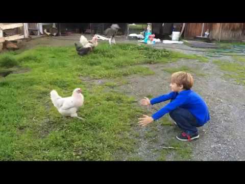 Never let me go! - YouTube