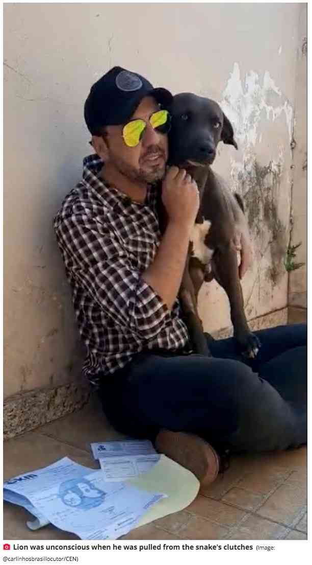 【海外発！Breaking News】巨大アナコンダを木の棒とスコップで撃退、愛犬を救出した飼い主（ブラジル）＜動画あり＞ | Techinsight（テックインサイト）|海外セレブ、国内エンタメのオンリーワンをお届けするニュースサイト