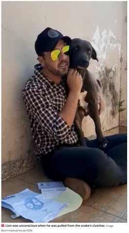 巨大アナコンダを木の棒とスコップで撃退、愛犬を救出した飼い主（ブラジル）