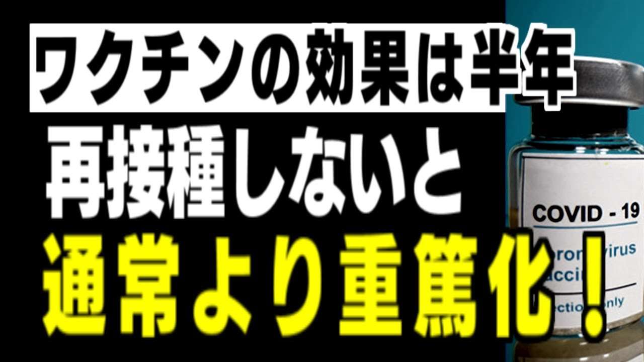ワクチンの効果は半年。再接種しない場合は通常よりも重篤化。一度打ったら生涯の定期接種を - YouTube