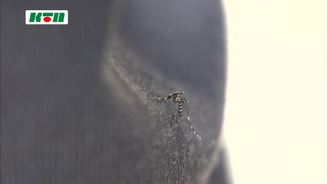 【速報】長崎県に「日本脳炎注意報」を発表　蚊に刺されない対策を呼びかけ（KTNテレビ長崎） - Yahoo!ニュース
