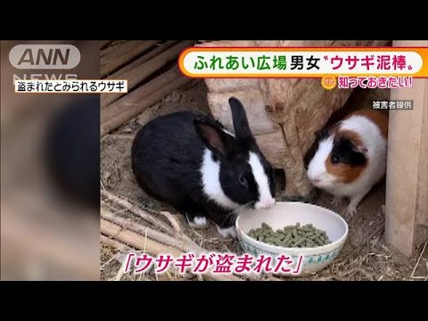 ふれあい広場で男女“ウサギ泥棒”　顔に見覚えが・・・(2021年8月19日) - YouTube