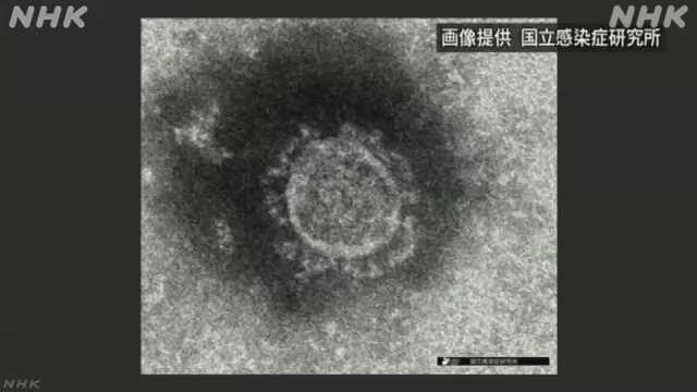 新型コロナ自宅療養増加 酸素濃縮装置 自治体が確保の動き｜NHK 首都圏のニュース