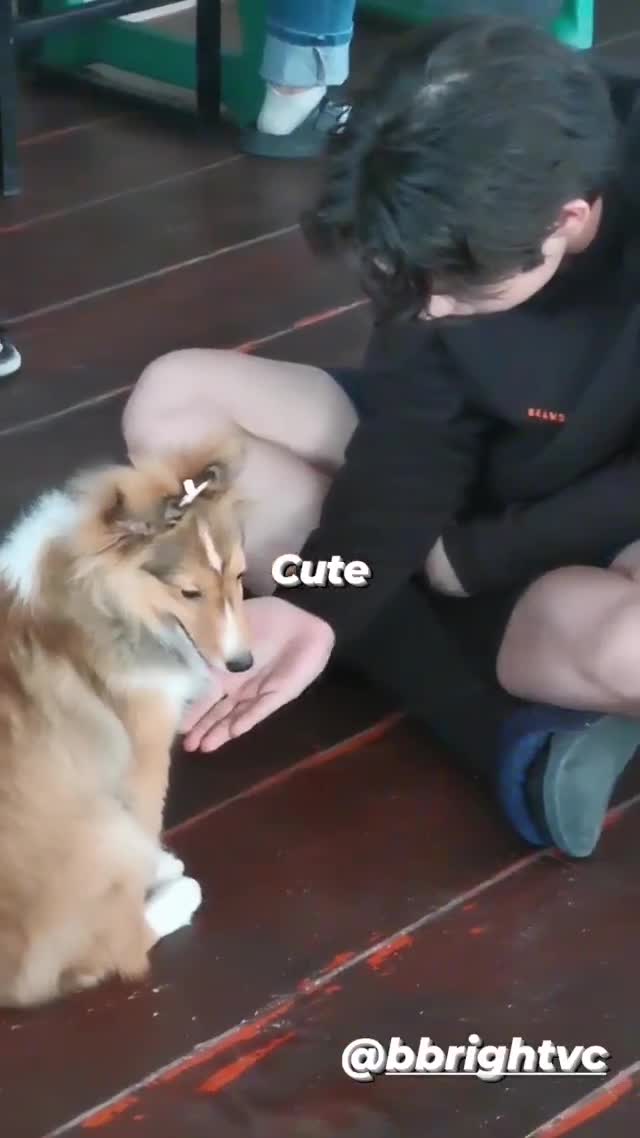 パパ