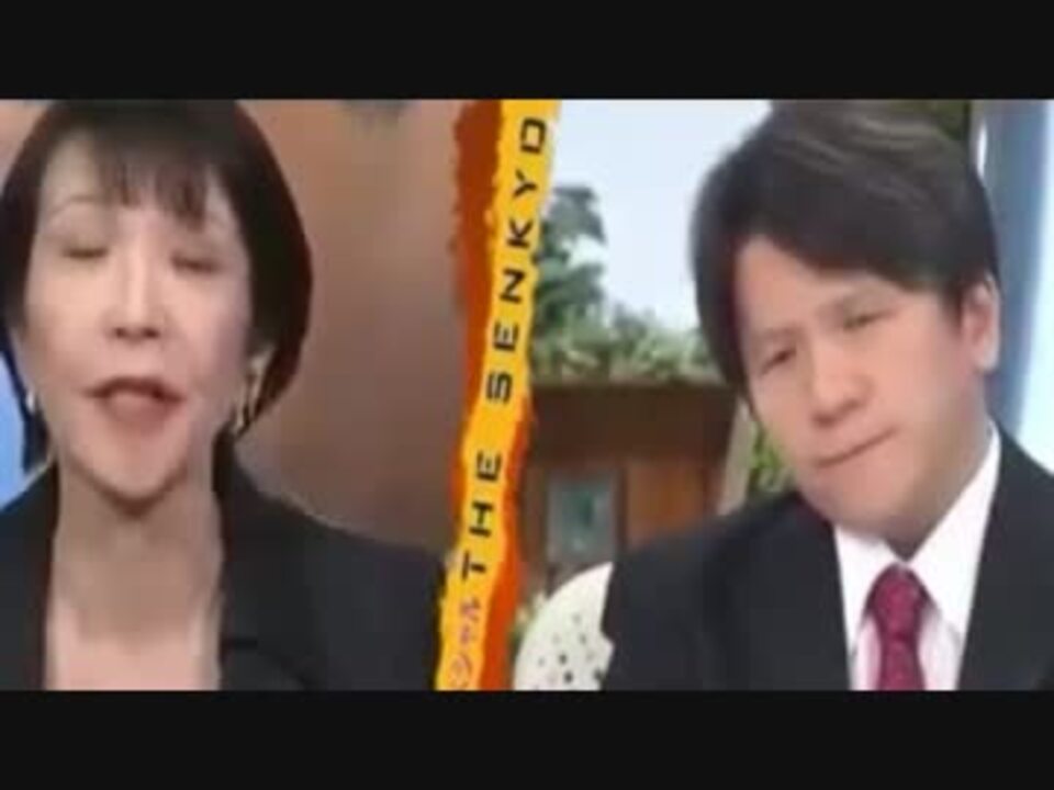 宮崎「消費税増税の反省は？」高市「ありません」 - ニコニコ動画