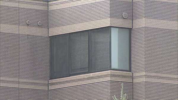 ホテルから転落 小1が重傷　7階客室から18メートル下に 