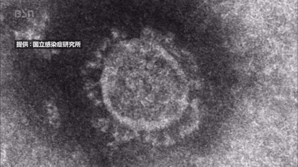 【速報】新潟県内で新たに８２人の感染者（ＢＳＮ新潟放送） - Yahoo!ニュース