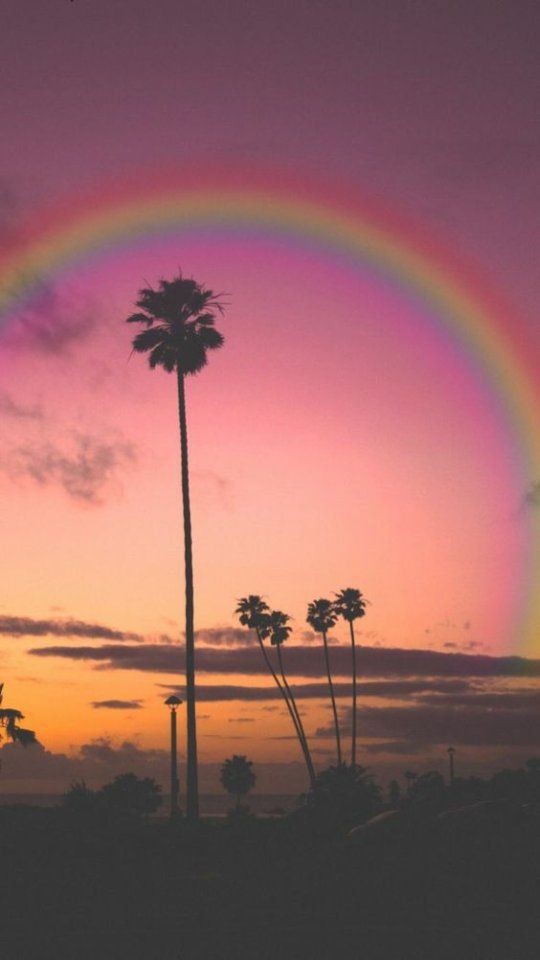 虹の写真が見たいです