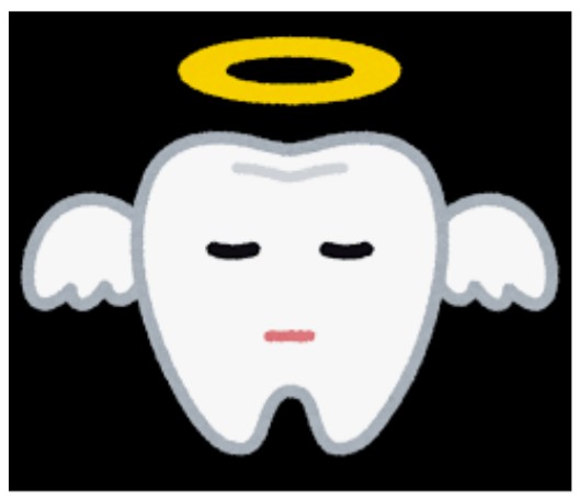 こやつに歯の詰め物持っていかれた😫