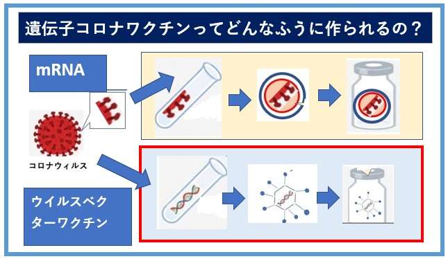 コロナ遺伝子ワクチンってどんなふうに作られるのか調べてみた | 病と暮らす