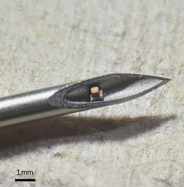 塩つぶサイズのチップを注射で埋め込み　超音波で電力供給と無線通信実現（ITmedia NEWS） - Yahoo!ニュース