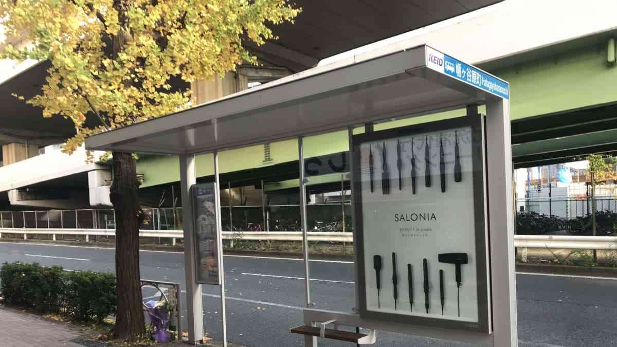 所持金8円…渋谷区のバス停で殴り殺された女性が最後に見たもの