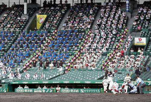 大阪桐蔭の吹奏楽部部員がコロナ感染　東海大菅生戦の応援取りやめ - 高校野球夏の甲子園 : 日刊スポーツ