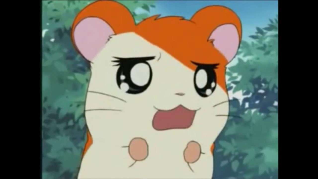 すぐ被害者ヅラするハム太郎 - YouTube