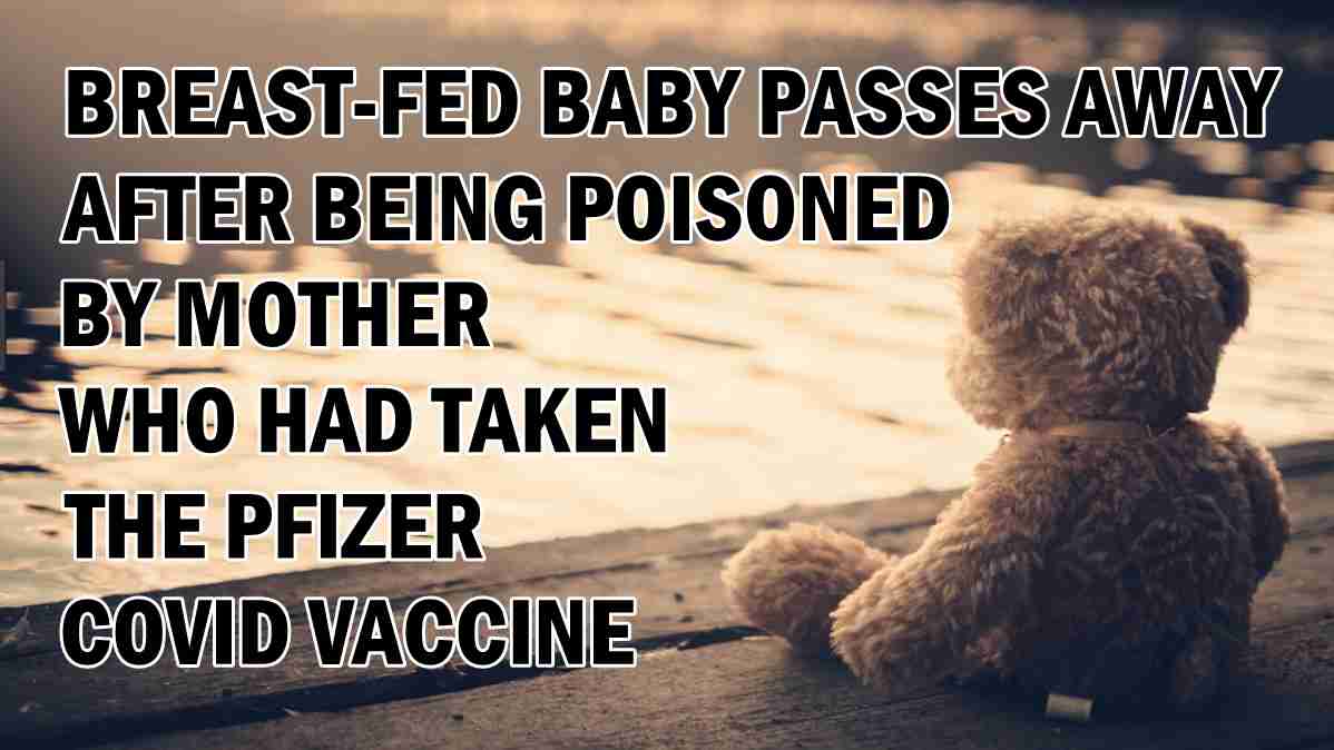 Breast-fed Baby passes away after being poisoned by Mother who had taken the Pfizer Covid Vaccine – Daily Expose