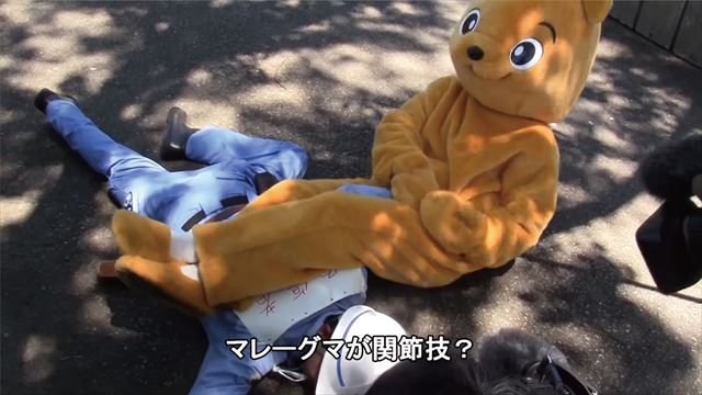 動物園の捕獲訓練がみたい🐻