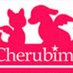 NPOケルビム&ケルビム動物病院 on Twitter: 