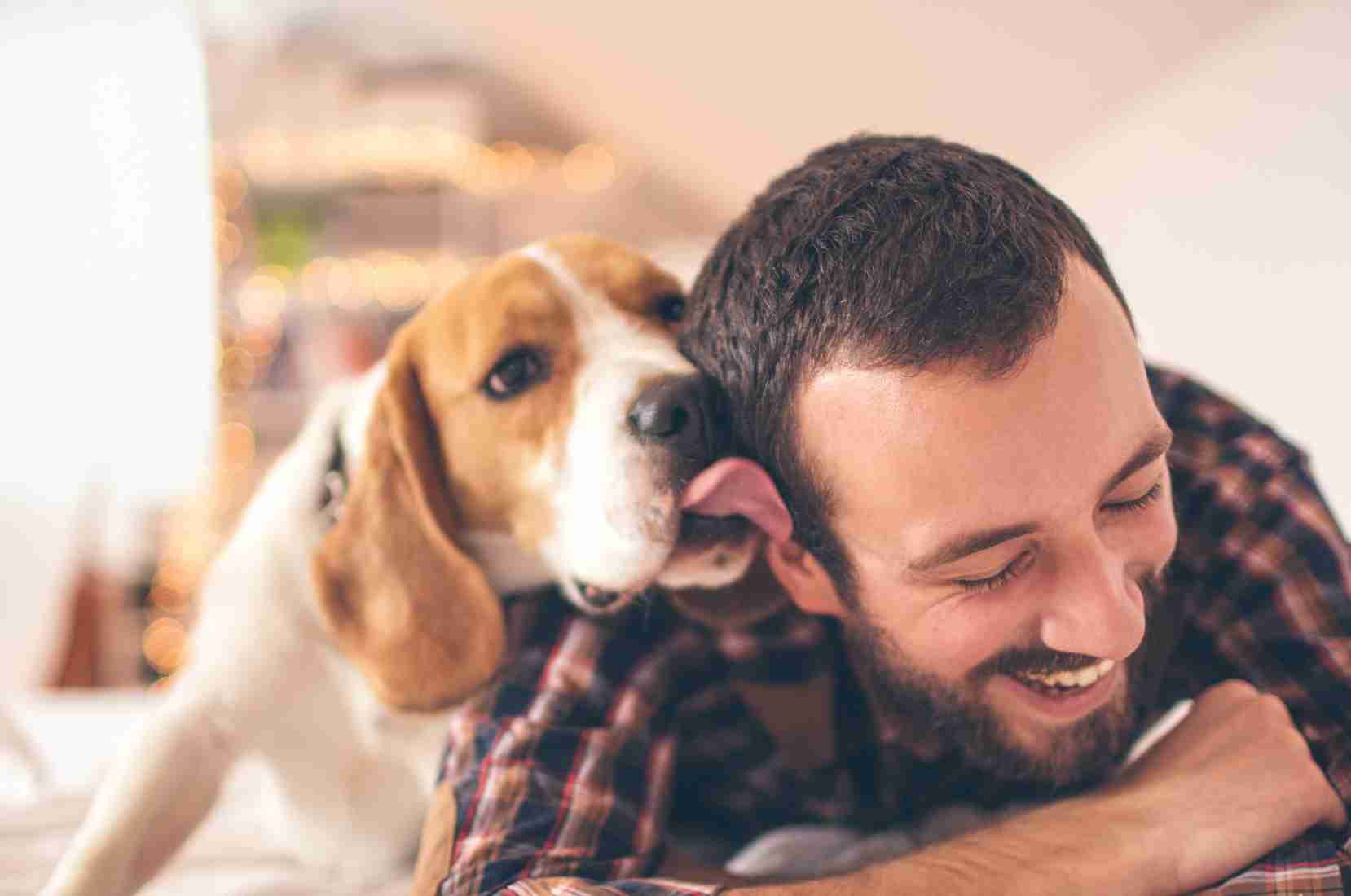 優しい動物たち