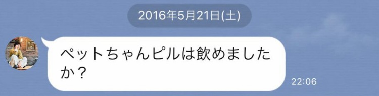 DVで解雇の小澤廉　8カ月ぶりツイート「今後は自分の言葉でお伝えしたい」30歳の誕生日に