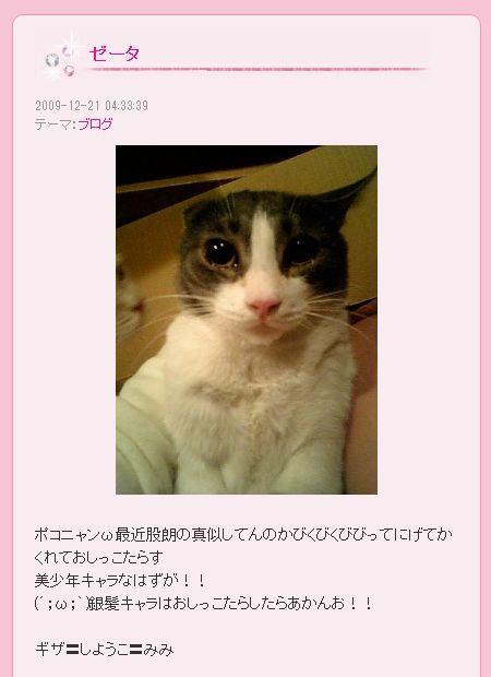 中川翔子、コロナ禍での“出待ち”自粛求む「状況を鑑みていただけると」