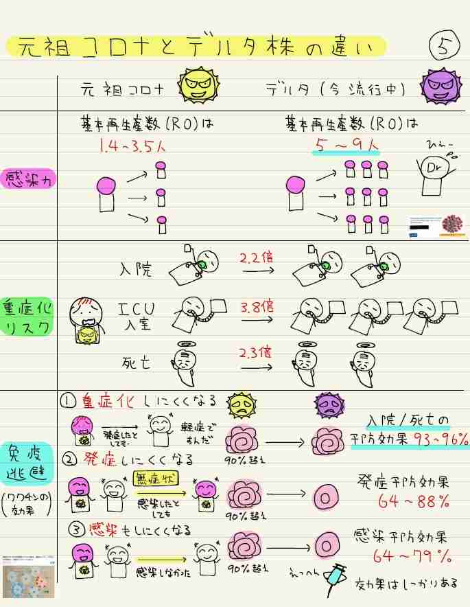 コロナ・デルタ株 医師のイラスト解説が「ポップで分かりやすい 」と話題