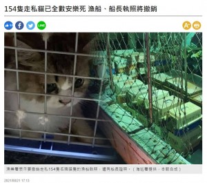 アメリカンショートヘアなど密輸された猫154匹を殺処分（台湾）