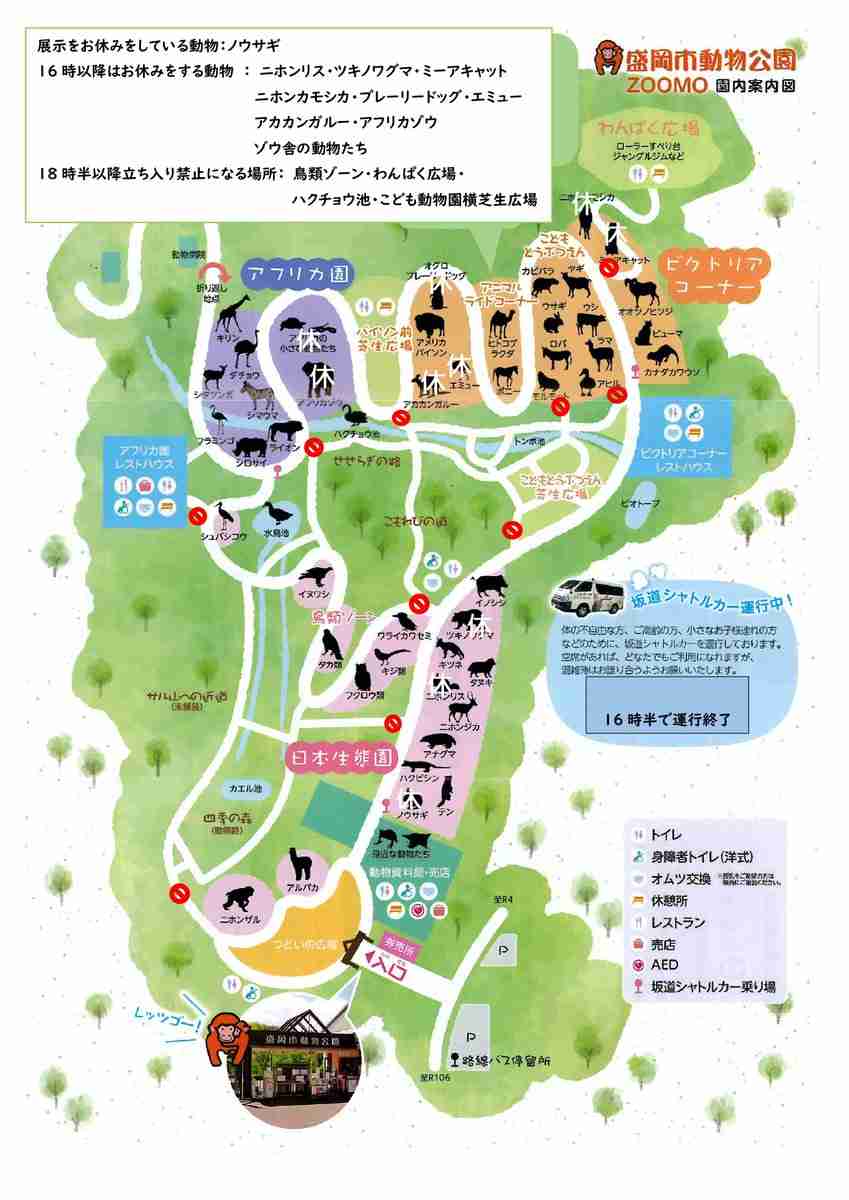 盛岡市動物公園に野生のクマが侵入　捕獲まで臨時休園