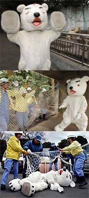動物園の捕獲訓練がみたい🐻