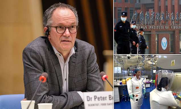 Covid Patient Zero may have been a Wuhan lab worker infected by a bat after all, WHO chief admits | Daily Mail Online